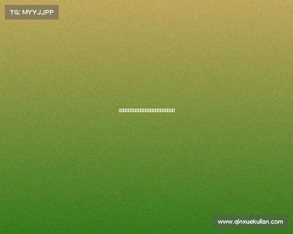 纽卡斯尔联向米兰询问佳夫转会事宜欲加强阵容实力